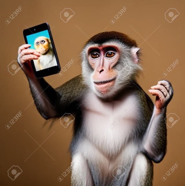 滑稽的猴子採取selfie和微笑，照相機