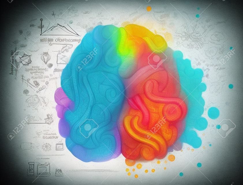 Concepto de doodle de cerebro sobre lado derecho creativo y lado izquierdo lógico