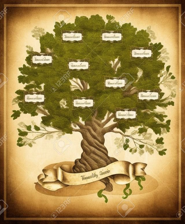Genealogical tree on old paper background. Family tree in vintage style. Pedigree