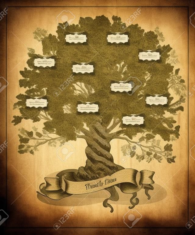 Genealogische boom op oude papieren achtergrond. Stamboom in vintage stijl. Stamboom