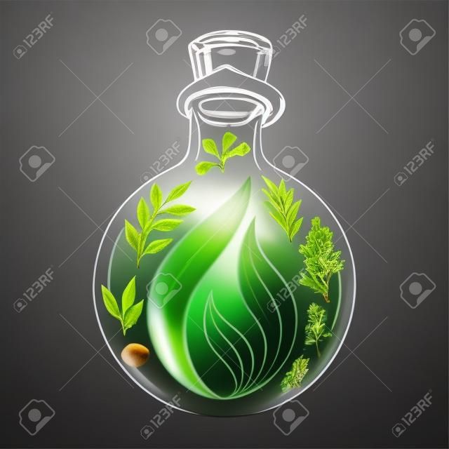 essential oil from organic plants in a glass bottle