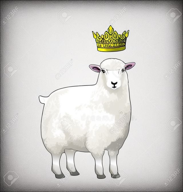 Vector Ilustração estilizada da ovelha com a coroa sobre sua cabeça e expressão fasial surpresa. Ilustração vetorial da ovelha rainha em estilo gráfico no fundo branco.
