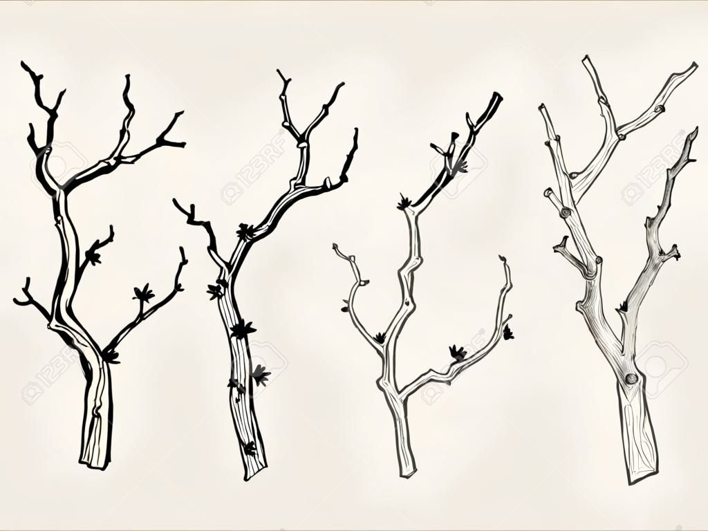 Hand drawn set of tree branch in vintage style. Black and white collection of sakura branch graphic element for cards, invitation, prints, posters, tattoo, clothes, t-shirt, patches, stickers.