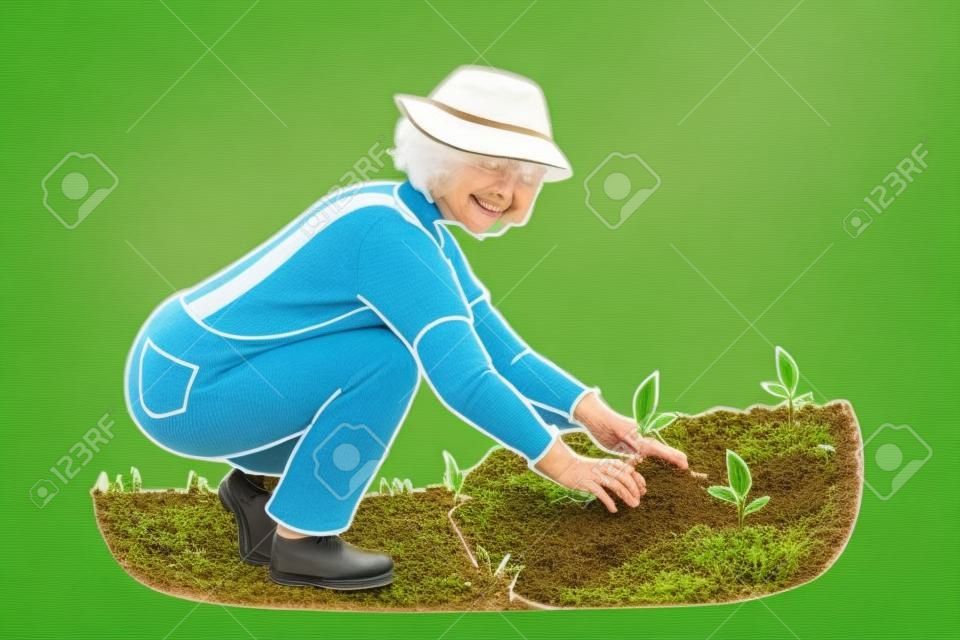 Smiling elderly woman plant seedlings