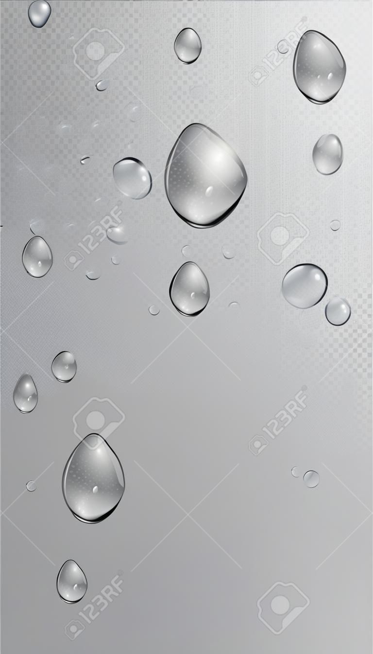 Regendruppels op transparante achtergrond. Coole waterdruppels voor uw ontwerp. Condensatie op glas met veel verse druppels. Dauw backdrop. Vector illustratie.