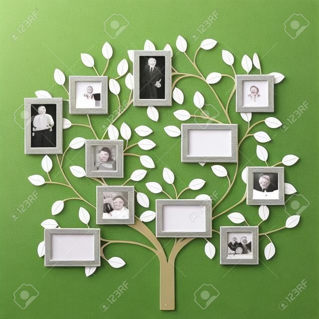 带相框的记忆树将照片插入相框