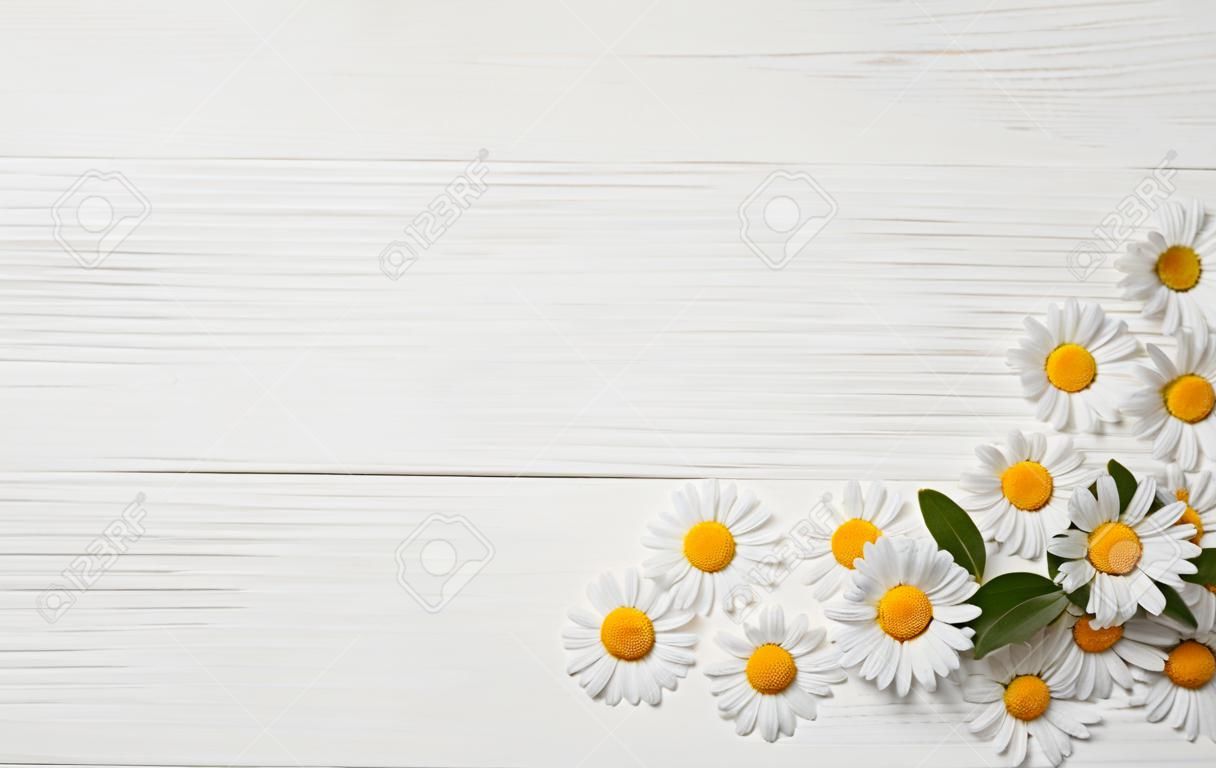 Belles fleurs et feuilles de marguerite sur fond en bois blanc espace plat pour le texte