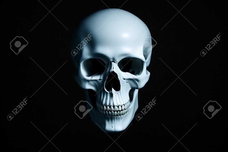 Crânio humano branco com dentes no fundo preto
