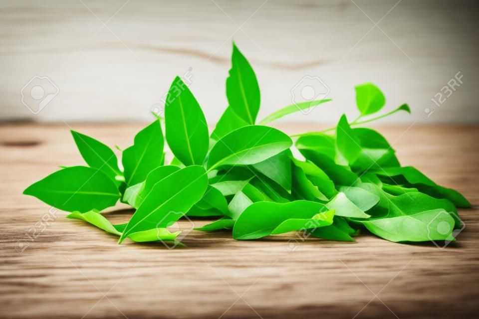Fresh green bay leaves on white wooden table, closeup
