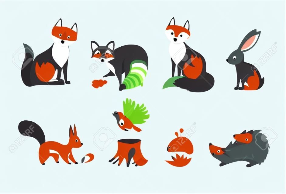 Set di animali della foresta. Lupo, volpe, coniglio e altre creature del bosco. Illustrazione vettoriale in stile cartone animato