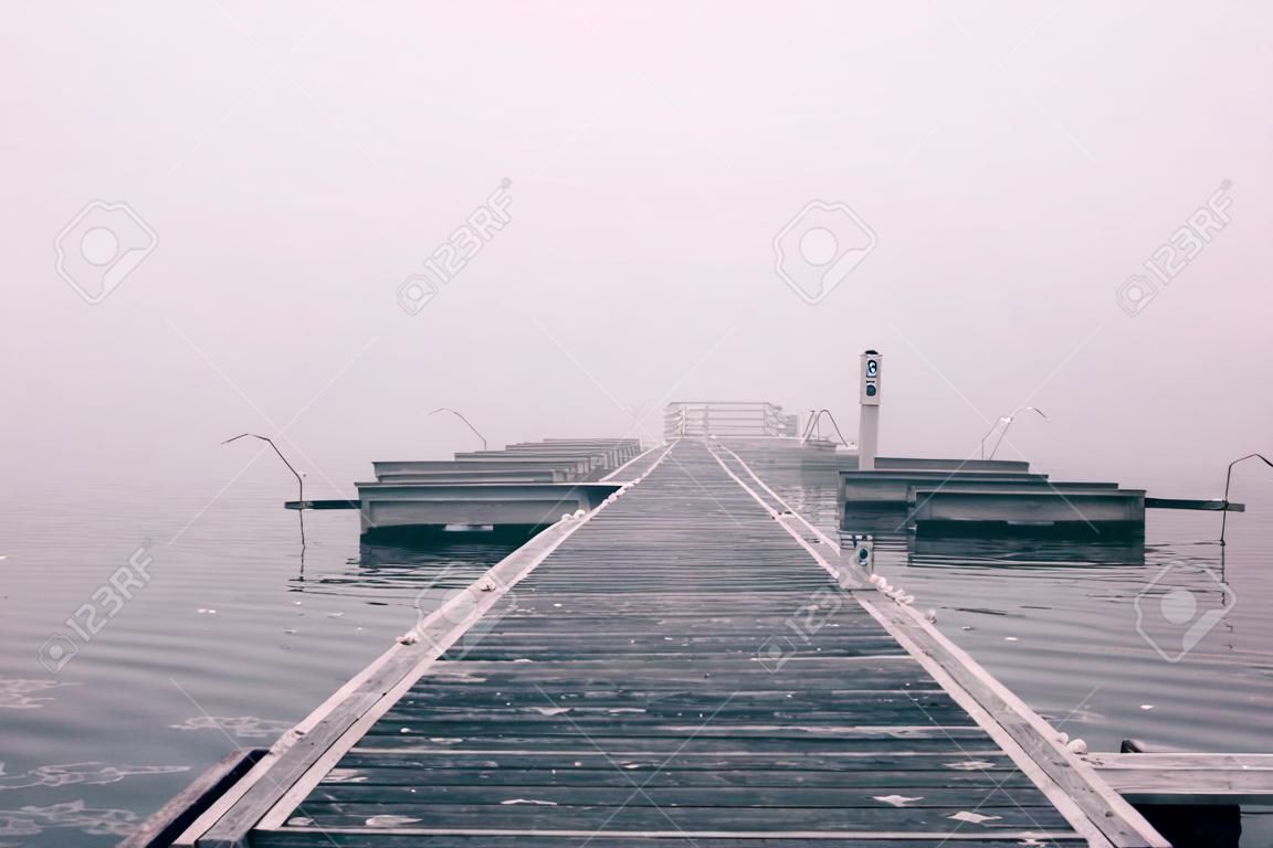 un paysage d'eau de brouillard sur un matin de novembre