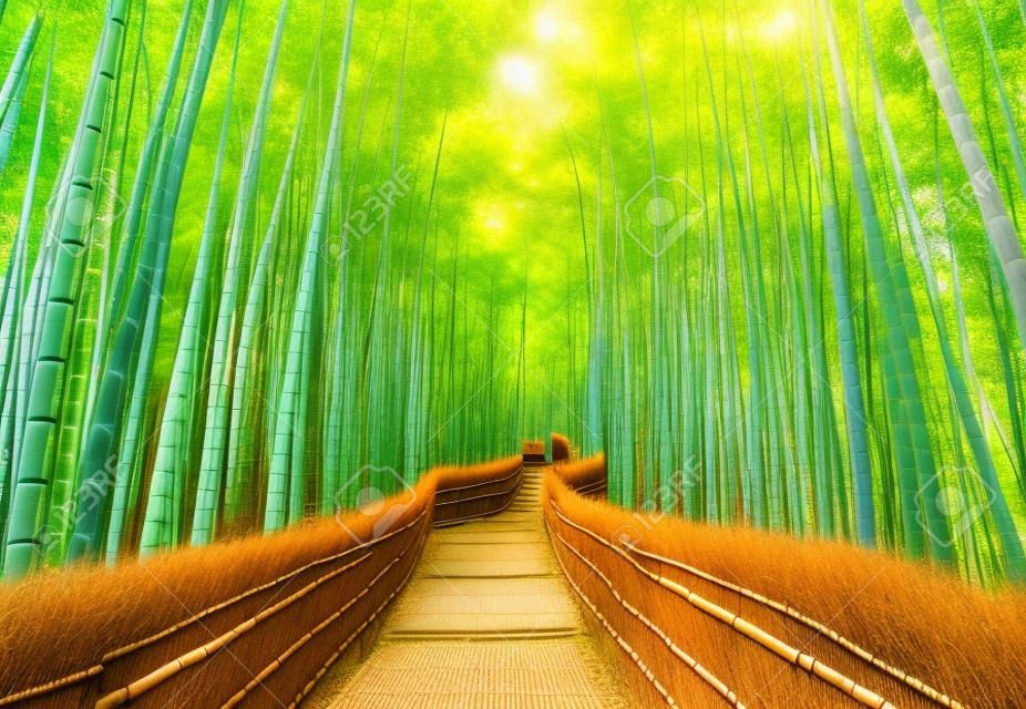 Caminho para a floresta de bambu, Arashiyama, Kyoto, Japão