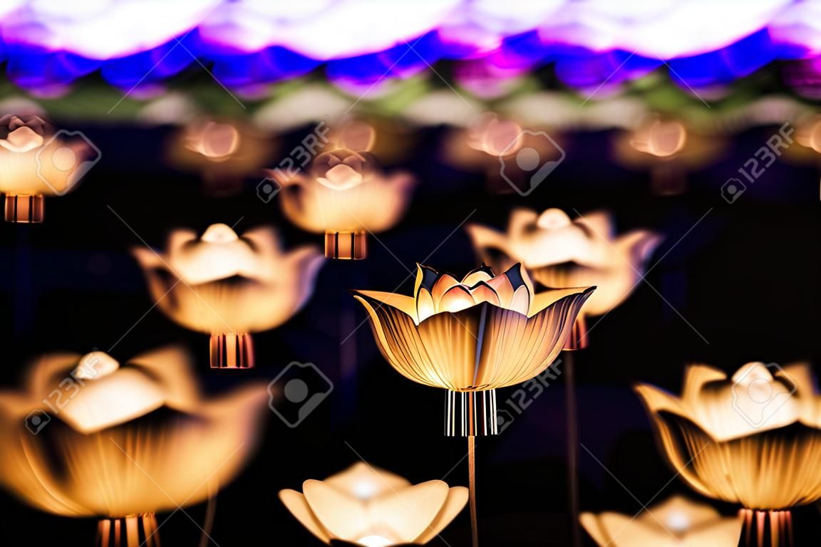 Flower lanterns on the field at night