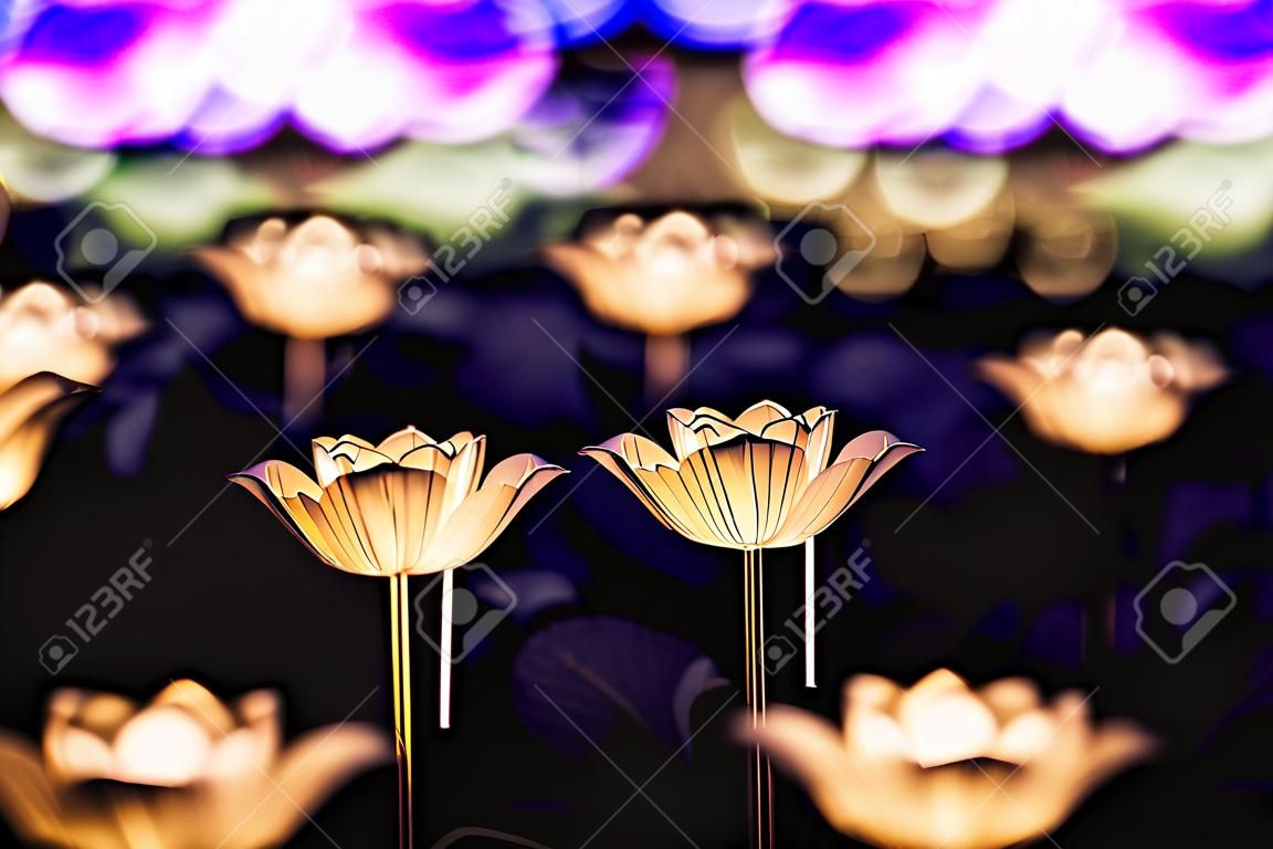 Flower lanterns on the field at night