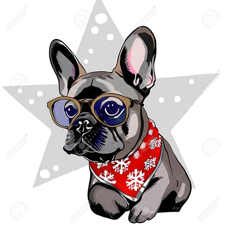 Ritratto di vettore del cane del bulldog francese che indossa la bandana e i vetri di inverno. Isolato su stella e neve. Illustrazione del colore Skecthed. Natale, Natale, Capodanno. Decorazione, promozione, biglietto di auguri.
