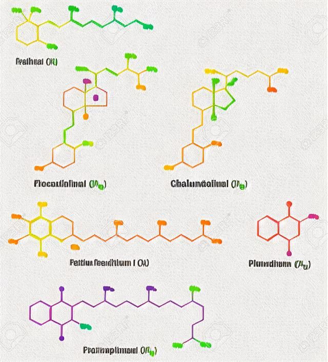 脂溶性維生素視黃醇的化學式;葉綠醌;甲萘醌;生育酚;膽;鈣化醇，二維繪圖，向量，被隔絕在白色