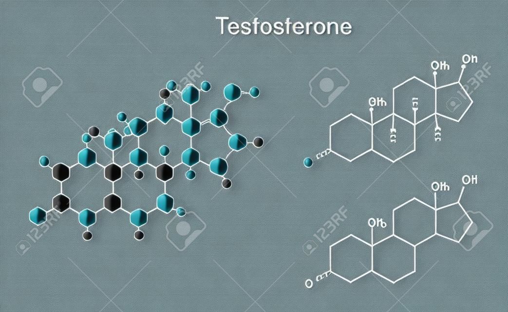 構造の化学式とテストステロン分子のモデル 2 D および 3 D 図