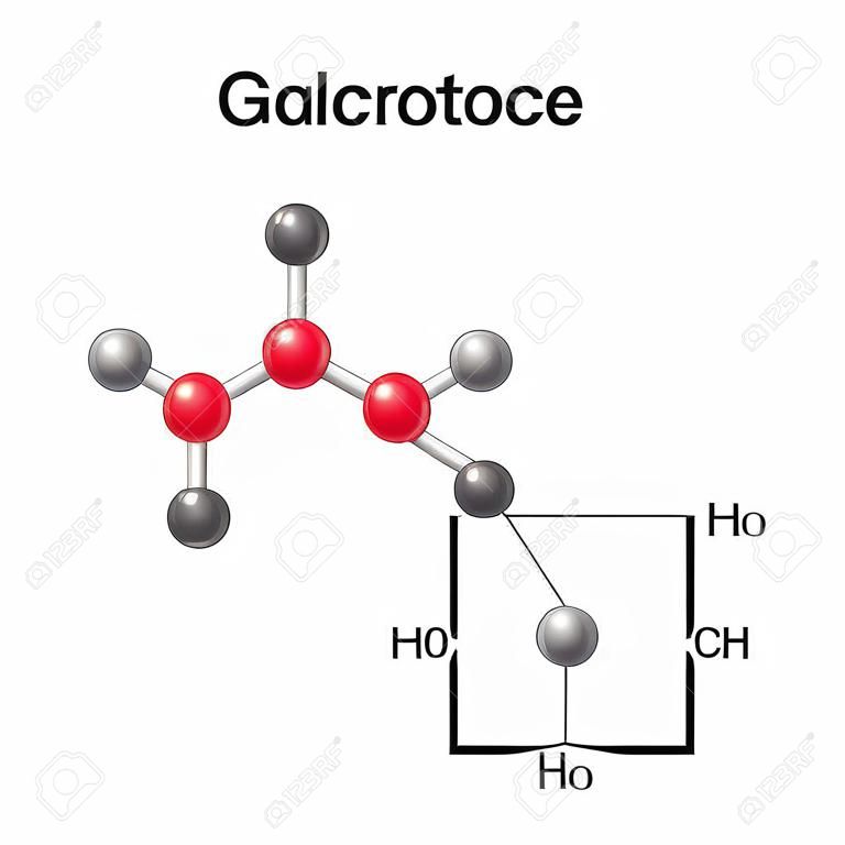 Structural chemical formula and model of galactose, 2d and 3d illustration, vector, isolated on white background, 