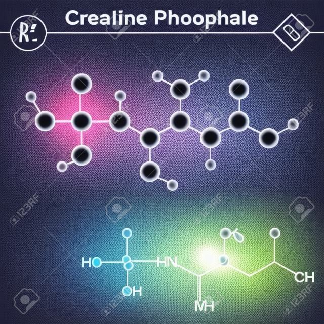 Phosphocreatine molecule, creatine phosphate structure, 2d & 3d vector 