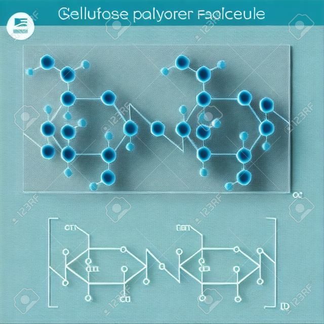 Selüloz polimer kimyasal formülü ve 3d modeli, moleküler yapı, vektör, 8 eps