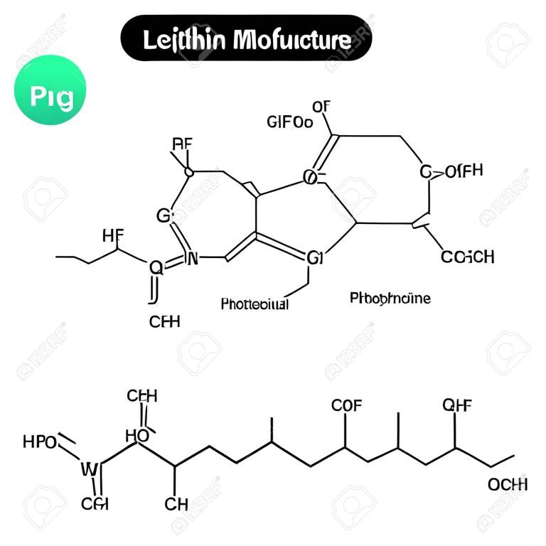 Lecithine moleculaire structuur, chemische formules van lipiden, fosfatidylcholine molecule geïsoleerd op witte achtergrond, 2d vector,