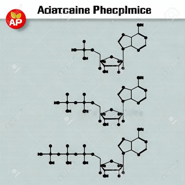 Atp, adp und amp chemischen strukturen, skelett stil, 2d chemischen vektor-illustration, isoliert auf weißem hintergrund