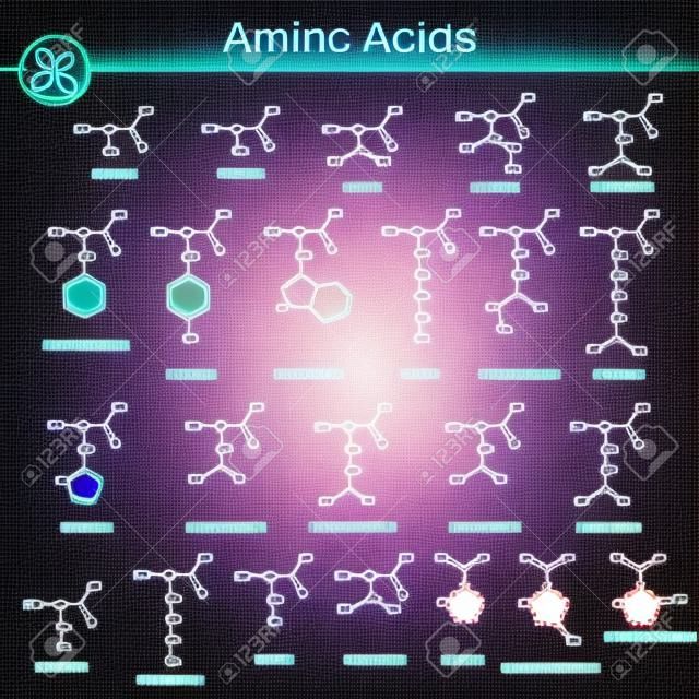 Biogenne aminokwasów, struktury molekularne, 2d ilustracji wektorowych chemicznego na białym tle