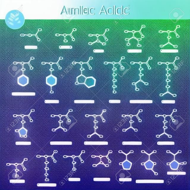 Биогенные аминокислоты, молекулярные структуры, 2d химический векторные иллюстрации на белом фоне