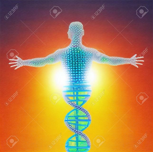 DNA 분자의 남자의 추상 모델