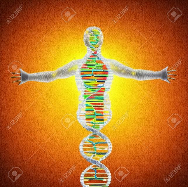 男子DNA分子的抽象模型