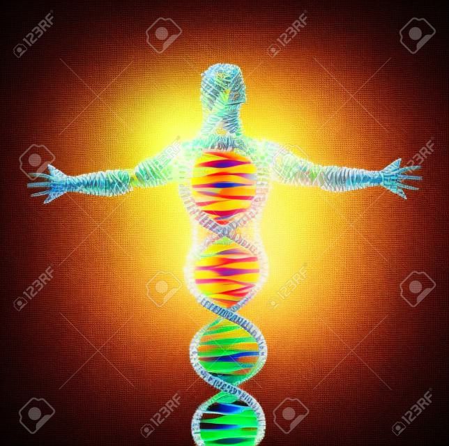 Modelo abstrato do homem da molécula de DNA