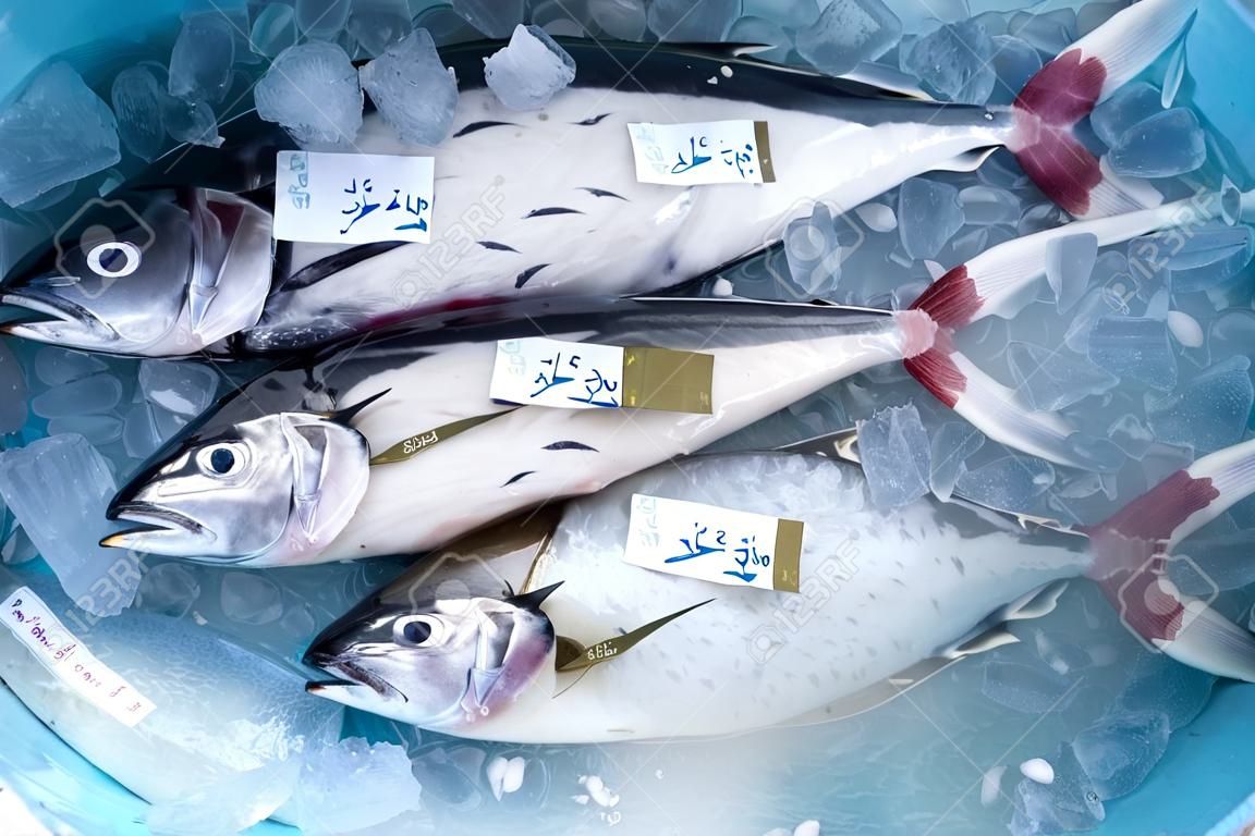 新鮮的金槍魚捕獲物包裝在加冰的容器中。準備交付當地市場。