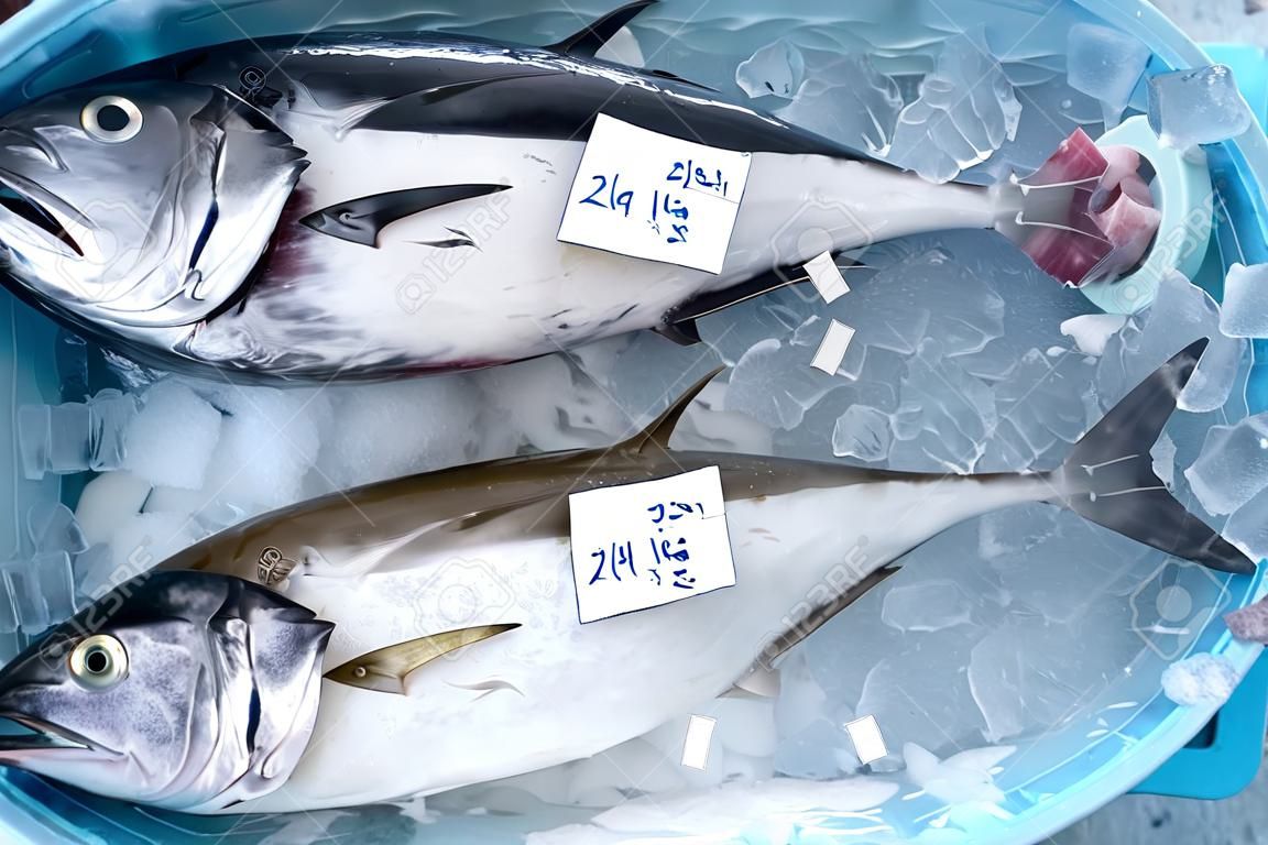 Frischer Thunfisch ist in einem Behälter mit Eis verpackt. Vorbereitung auf die Lieferung an lokale Märkte