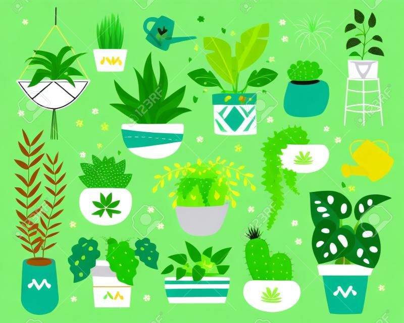 Panelas de desenhos animados com conjunto de ícones planos de planta de casa verde e desvanecimento. Planta tropical para decoração de interiores. Cacto bonito
