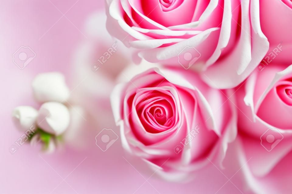 粉紅色和白色的玫瑰在黑暗的背景優雅花束，柔焦，特寫鏡頭。浪漫時髦的背景。復古過濾器。