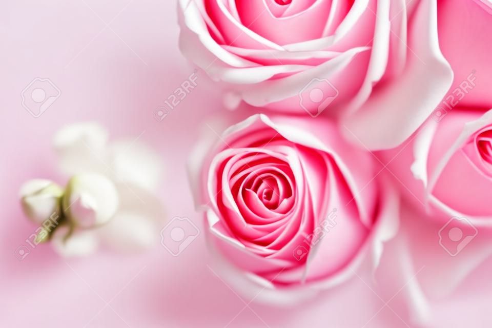 粉紅色和白色的玫瑰在黑暗的背景優雅花束，柔焦，特寫鏡頭。浪漫時髦的背景。復古過濾器。
