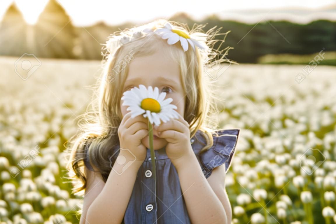 Cute child girl at camomile field daisy