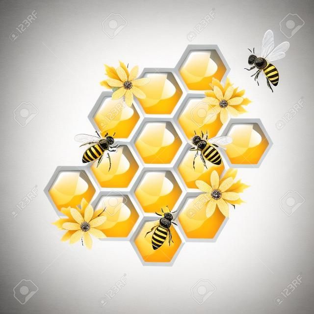 Bees and honeycombs   isolated on white