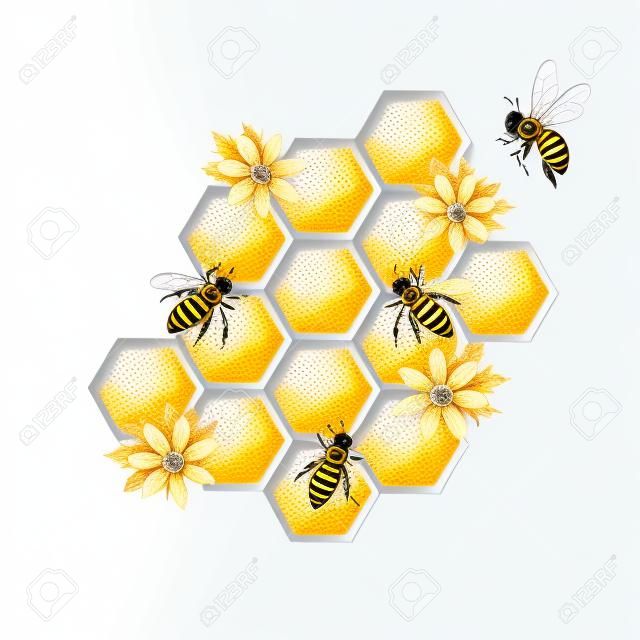 蜜蜂和蜂窩被隔絕在白色