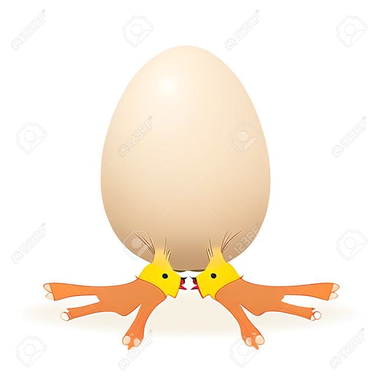 Little chicken in egg, illustration