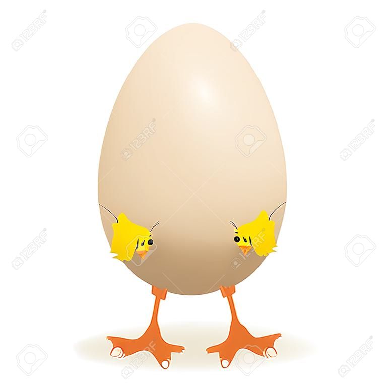 小的雞在產蛋，插圖