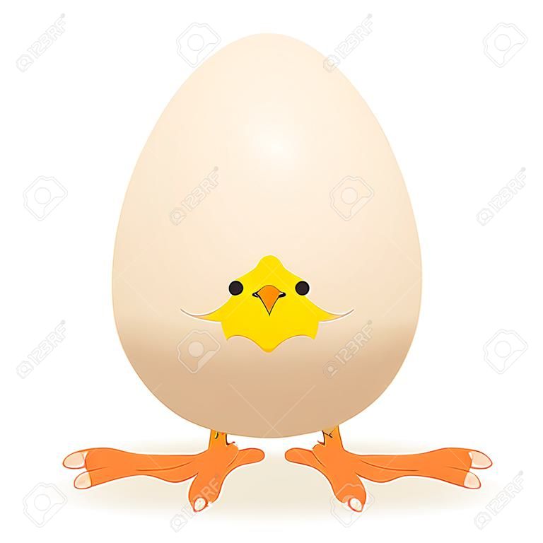 Little chicken in egg, illustration