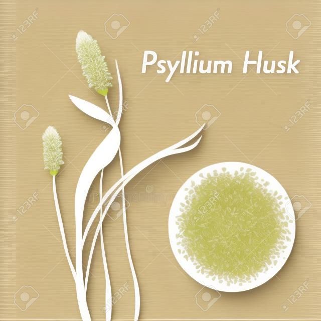 Ilustración de vector de flor de planta de cáscara de psyllium. Espesante de alimentos, Sanador intestinal, fibra, alimentos saludables.
