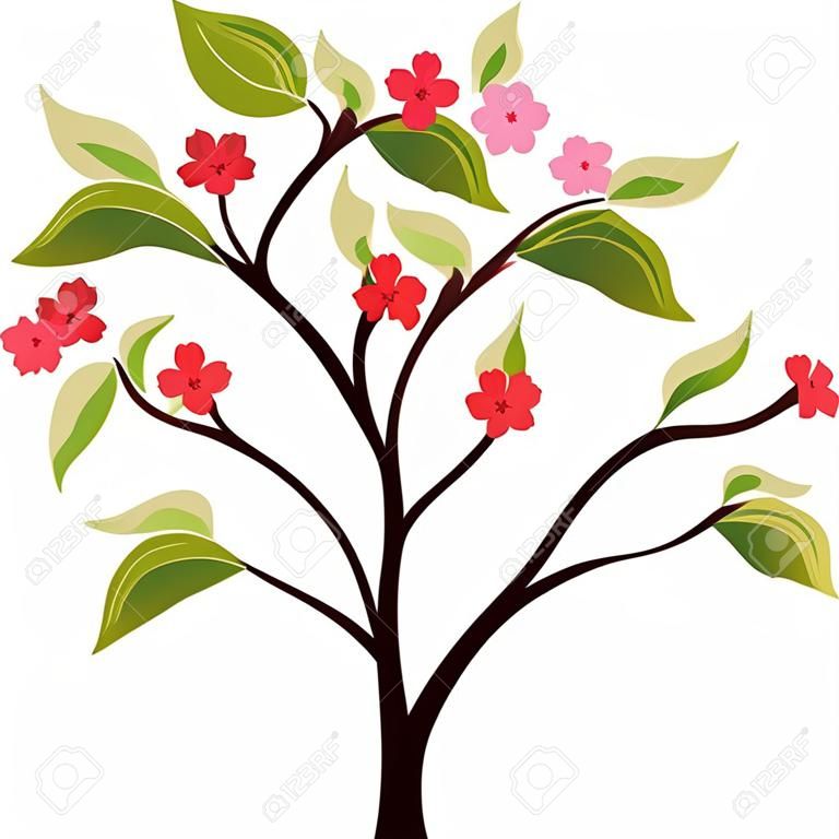 Verano árbol Ilex flores