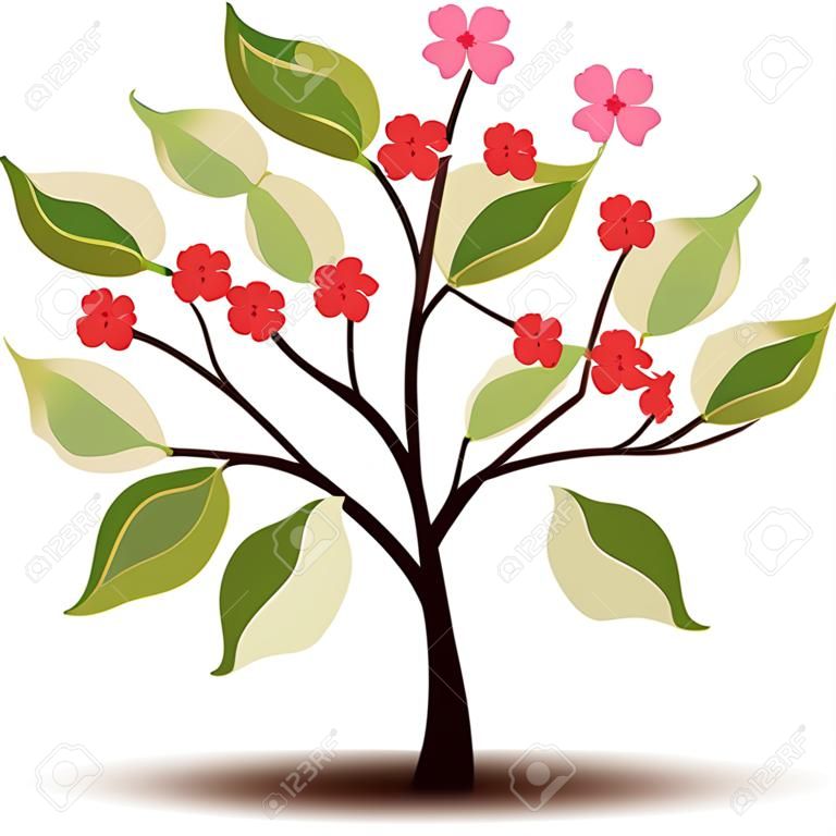 Verano árbol Ilex flores