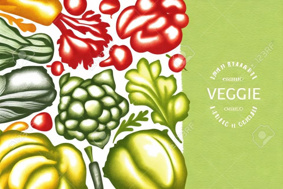 Disegno di verdure di colore vintage disegnato a mano. Modello di banner vettoriale per alimenti freschi biologici. Sfondo vegetale retrò. Illustrazioni botaniche tradizionali.