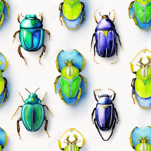Beetle background. Seamless pattern. Watercolor illustration