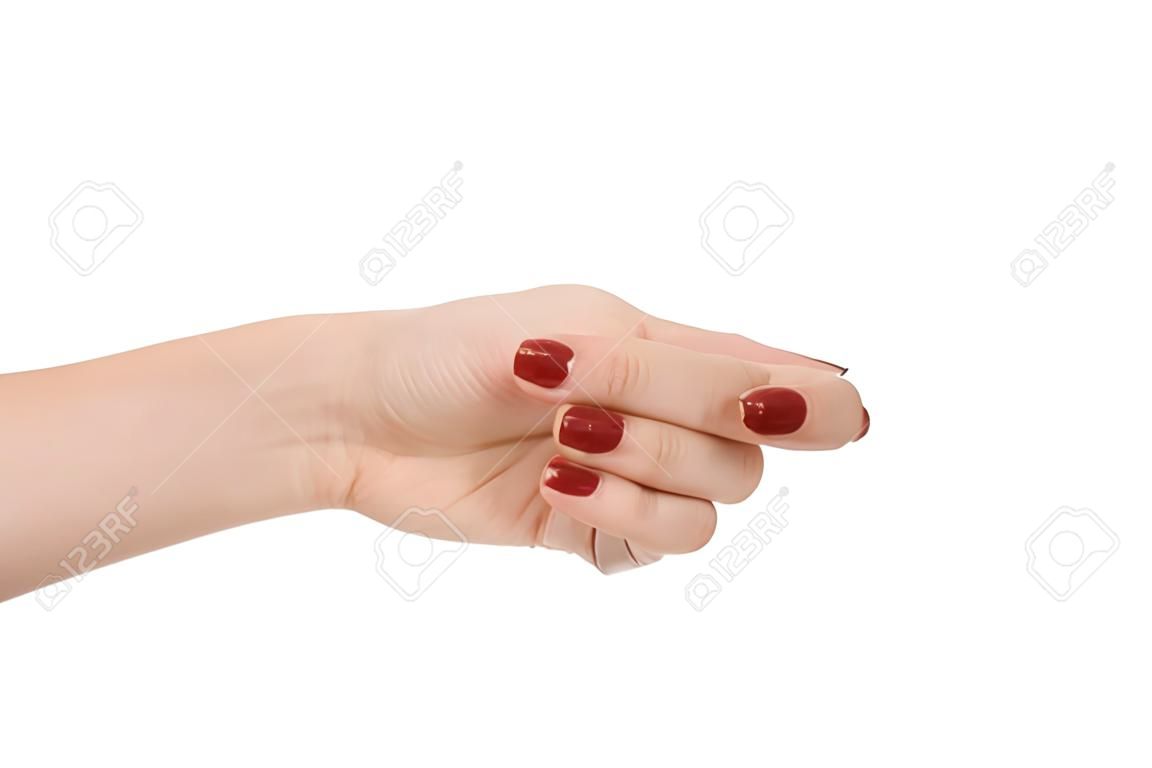 female hand shows fig sign, fingers on white background, obscene gesture as single object, isoleted girl's palm, it is used when denying a request, sign language; rude gesture, concept of negative communication, fig-hand