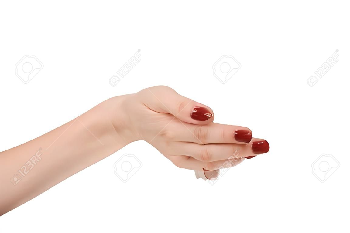 female hand shows fig sign, fingers on white background, obscene gesture as single object, isoleted girl's palm, it is used when denying a request, sign language; rude gesture, concept of negative communication, fig-hand