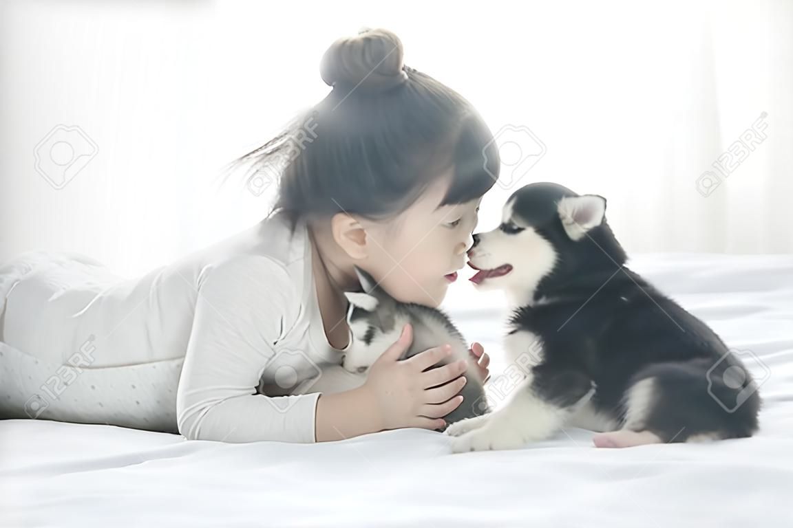 침대에 시베리안 허스키 강아지와 함께 누워 있는 어린 아시아 소녀